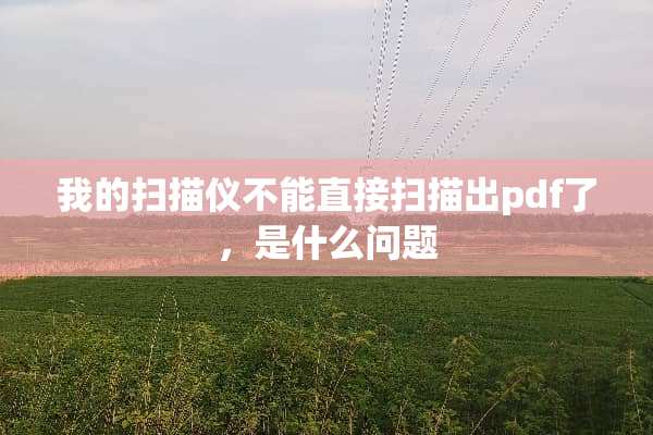 我的扫描仪不能直接扫描出pdf了，是什么问题