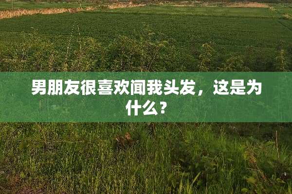 男朋友很喜欢闻我头发，这是为什么？