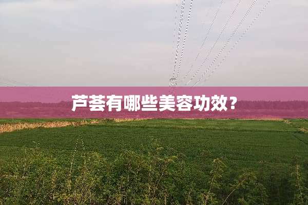 芦荟有哪些美容功效？