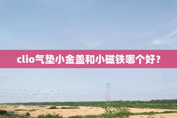 clio气垫小金盖和小磁铁哪个好？