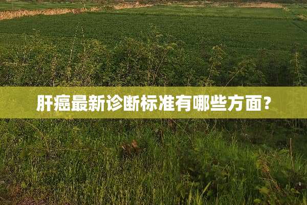 肝癌最新诊断标准有哪些方面？