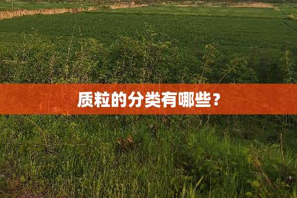 质粒的分类有哪些？