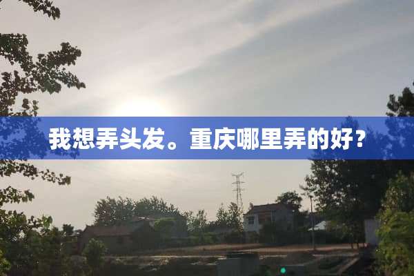 我想弄头发。重庆哪里弄的好？