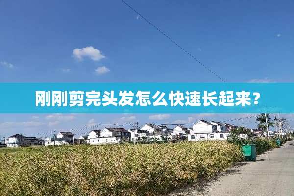 刚刚剪完头发怎么快速长起来？