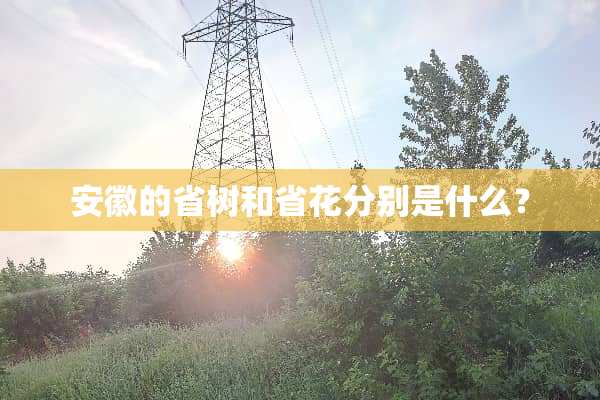 安徽的省树和省花分别是什么？