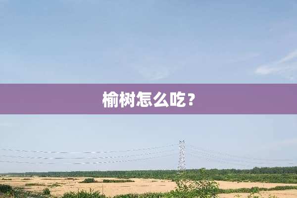 榆树怎么吃？