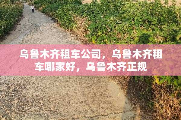 乌鲁木齐租车公司，乌鲁木齐租车哪家好，乌鲁木齐正规