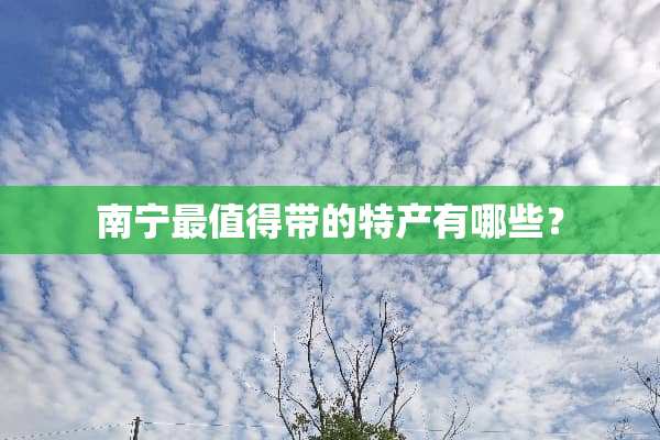 南宁最值得带的特产有哪些？