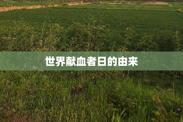 世界献血者日的由来