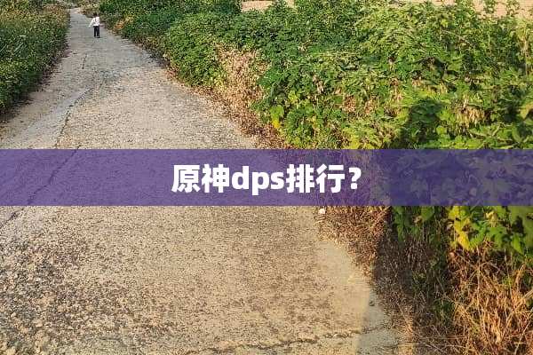 原神dps排行？