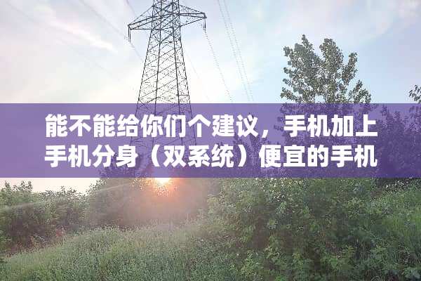 能不能给你们个建议，手机加上手机分身（双系统）便宜的手机都有？