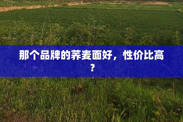 那个品牌的荞麦面好，性价比高？