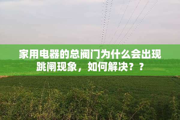 家用电器的总阀门为什么会出现跳闸现象，如何解决？？