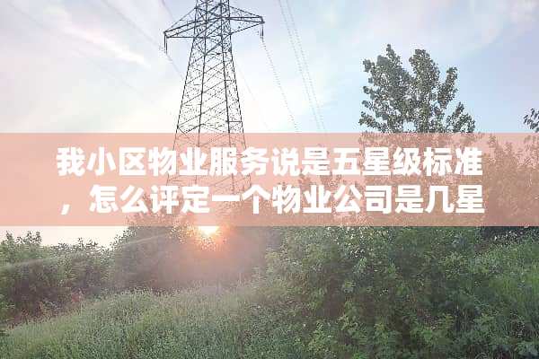 我小区物业服务说是五星级标准，怎么评定一个物业公司是几星级？有评定依据吗？