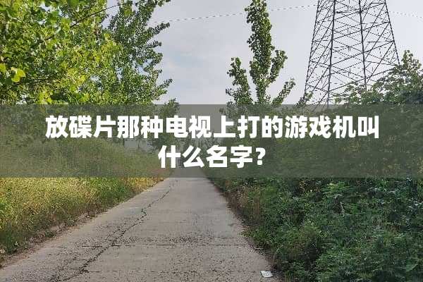 放碟片那种电视上打的游戏机叫什么名字？