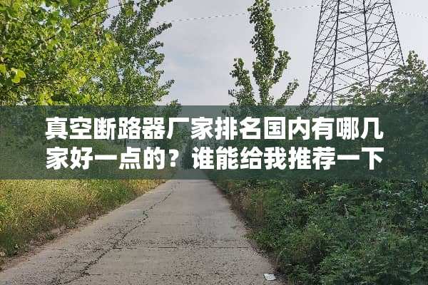 真空断路器厂家排名国内有哪几家好一点的？谁能给我推荐一下吗？