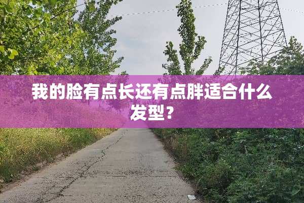 我的脸有点长还有点胖适合什么发型？