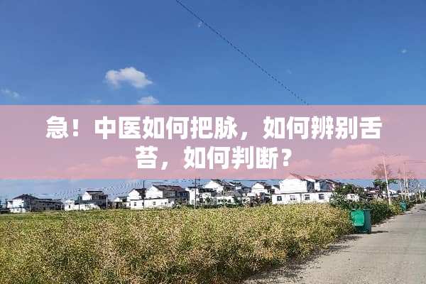 急！中医如何把脉，如何辨别舌苔，如何判断？