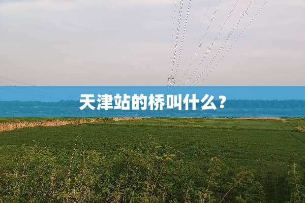 天津站的桥叫什么？