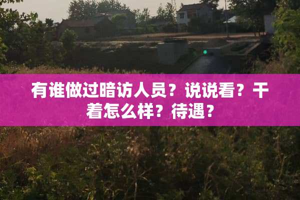 有谁做过暗访人员？说说看？干着怎么样？待遇？