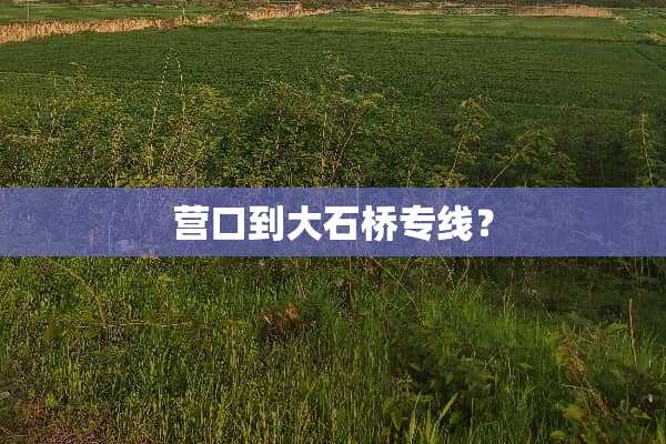 营口到大石桥专线？