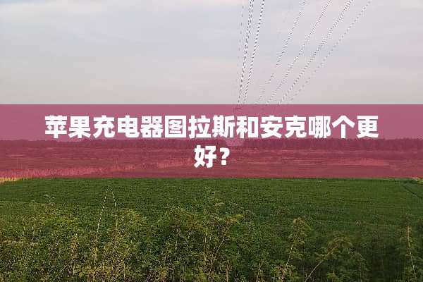 苹果充电器图拉斯和安克哪个更好？