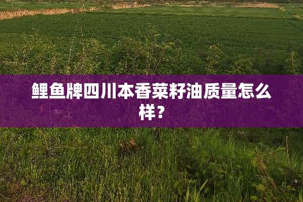 鲤鱼牌四川本香菜籽油质量怎么样？