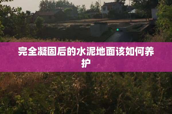 完全凝固后的水泥地面该如何养护