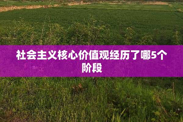 社会**核心价值观经历了哪5个阶段