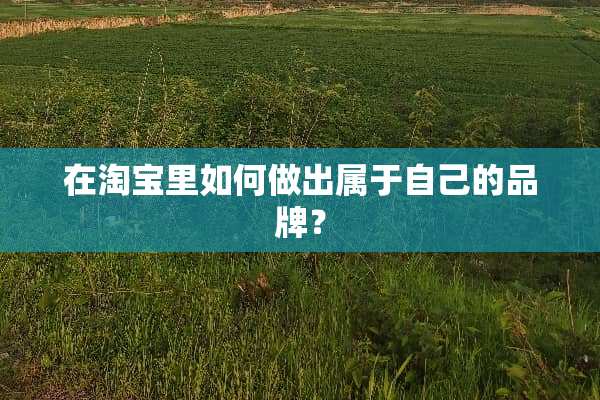 在淘宝里如何做出属于自己的品牌？