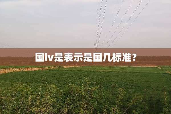 国iv是表示是国几标准？