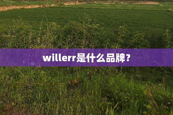 willerr是什么品牌？