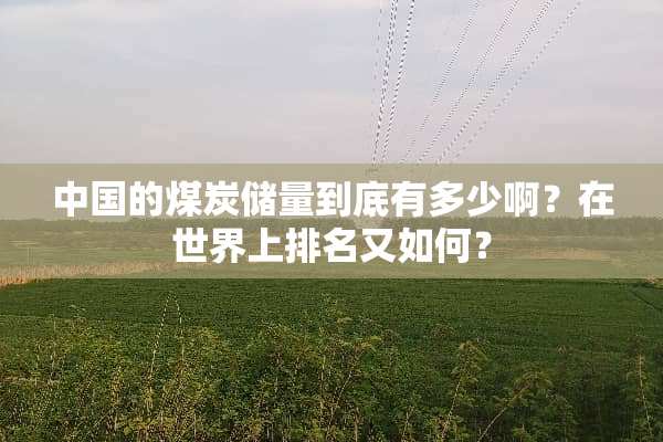 中国的煤炭储量到底有多少啊？在世界上排名又如何？