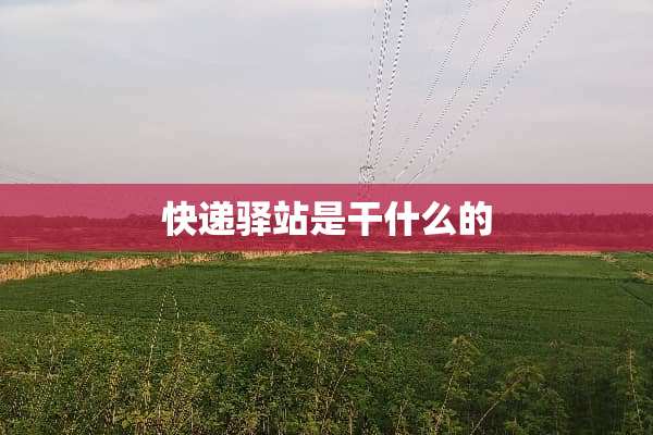 快递驿站是干什么的