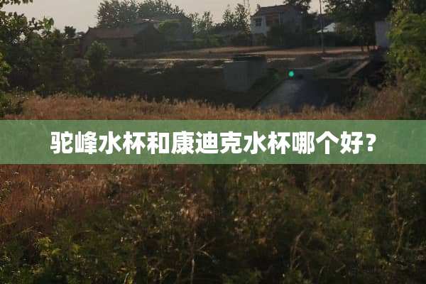 驼峰水杯和康迪克水杯哪个好？