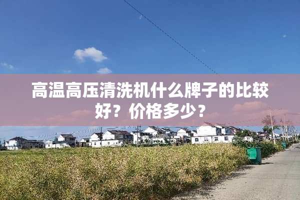 高温高压清洗机什么牌子的比较好？价格多少？