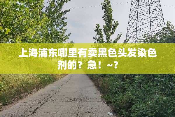上海浦东哪里有卖黑色头发染色剂的？急！~？