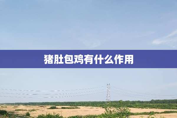 猪肚包鸡有什么作用