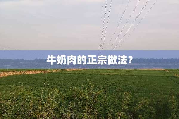 牛奶肉的正宗做法？