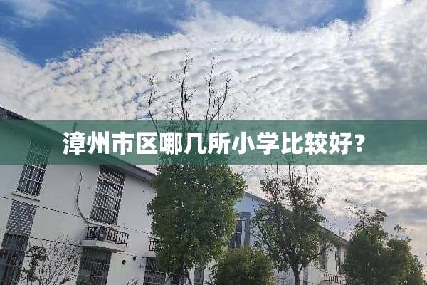 漳州市区哪几所小学比较好？