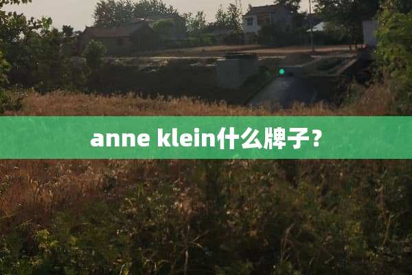 anne klein什么牌子？