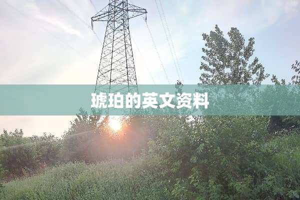 琥珀的英文资料
