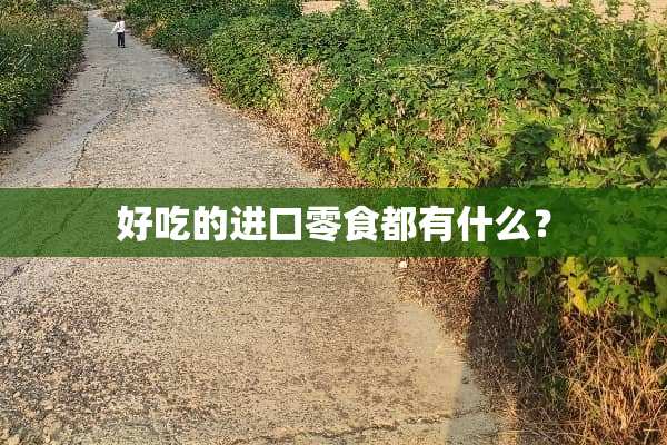 好吃的进口零食都有什么？