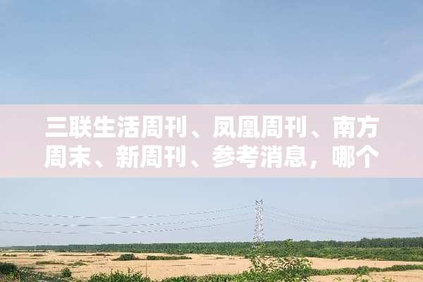 三联生活周刊、凤凰周刊、南方周末、新周刊、参考消息，哪个比较好看？