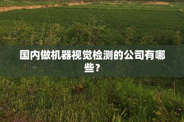 国内做机器视觉检测的公司有哪些？