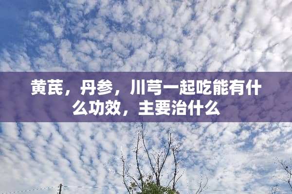 黄芪，丹参，川芎一起吃能有什么功效，主要治什么