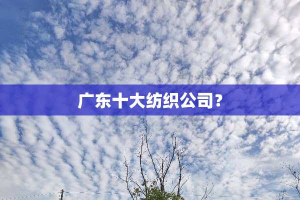 广东十大纺织公司？