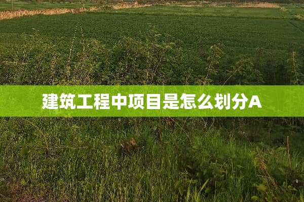 建筑工程中项目是怎么划分A