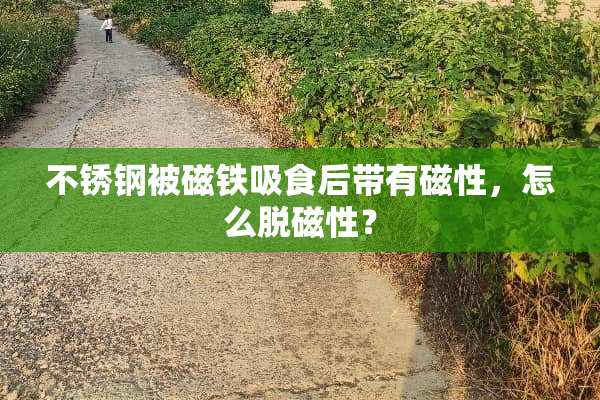不锈钢被磁铁吸食后带有磁性，怎么脱磁性？