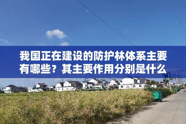 我国正在建设的防护林体系主要有哪些？其主要作用分别是什么？